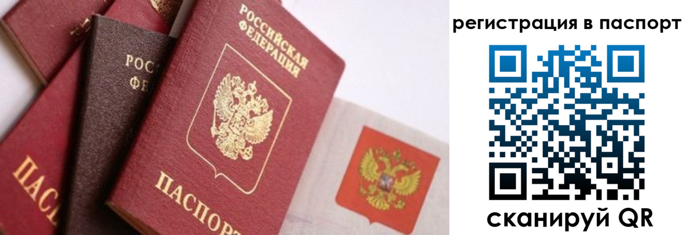 прописка в квартире в Михайлове